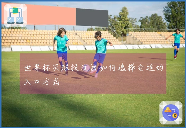 世界杯买球投注该如何选择合适的入口方式