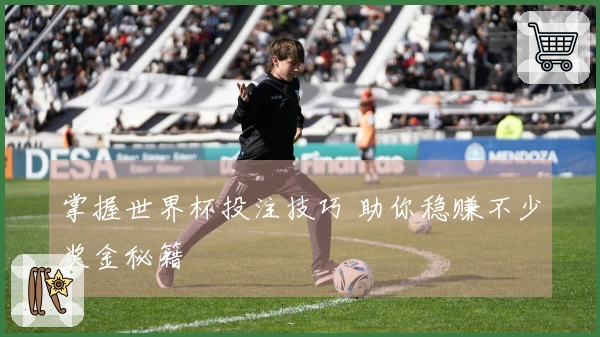 掌握世界杯投注技巧 助你稳赚不少奖金秘籍