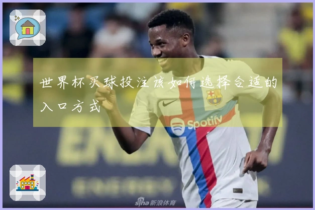 世界杯买球投注该如何选择合适的入口方式